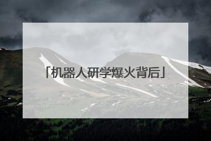 机器人研学爆火背后