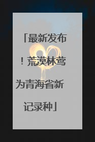 最新发布！荒漠林莺为青海省新记录种