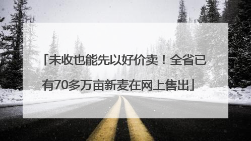 未收也能先以好价卖！全省已有70多万亩新麦在网上售出