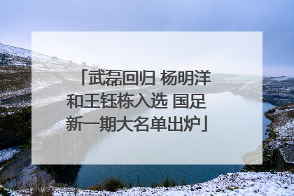 武磊回归 杨明洋和王钰栋入选 国足新一期大名单出炉