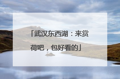 武汉东西湖：来赏荷吧，包好看的