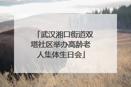 武汉湘口街道双塔社区举办高龄老人集体生日会