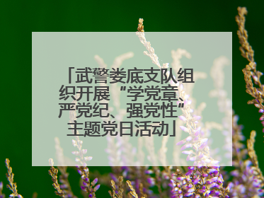 武警娄底支队组织开展“学党章、严党纪、强党性”主题党日活动