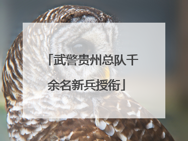 武警贵州总队千余名新兵授衔