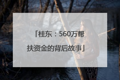 桂东：560万帮扶资金的背后故事