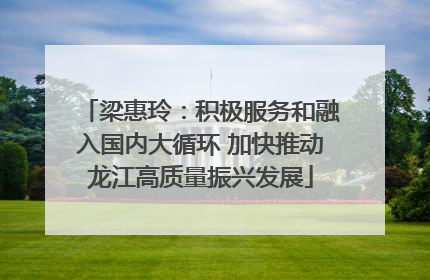 梁惠玲：积极服务和融入国内大循环 加快推动龙江高质量振兴发展