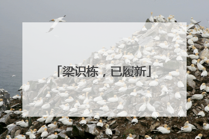梁识栋，已履新