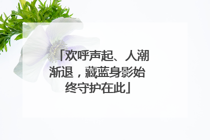 欢呼声起、人潮渐退，藏蓝身影始终守护在此