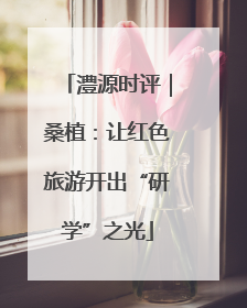澧源时评｜桑植：让红色旅游开出“研学”之光