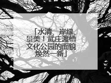 水清、岸绿、景美！武庄渡槽文化公园的面貌焕然一新