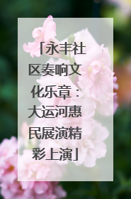 永丰社区奏响文化乐章：大运河惠民展演精彩上演
