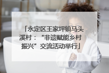 永定区王家坪镇马头溪村：“非遗赋能乡村振兴”交流活动举行