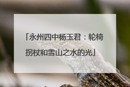 永州四中杨玉君：轮椅拐杖和雪山之水的光
