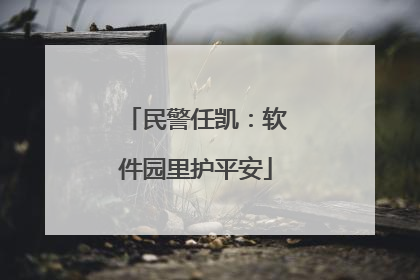 民警任凯：软件园里护平安