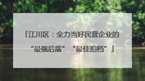 江川区：全力当好民营企业的“最强后盾”“最佳拍档”