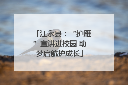 江永县：“护雁”宣讲进校园 助梦启航护成长