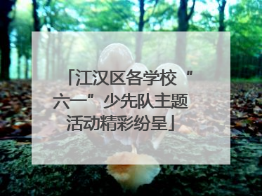 江汉区各学校“六一”少先队主题活动精彩纷呈