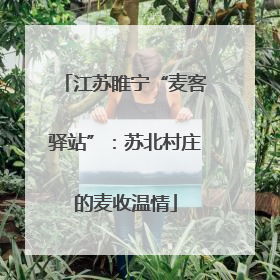 江苏睢宁“麦客驿站”：苏北村庄的麦收温情