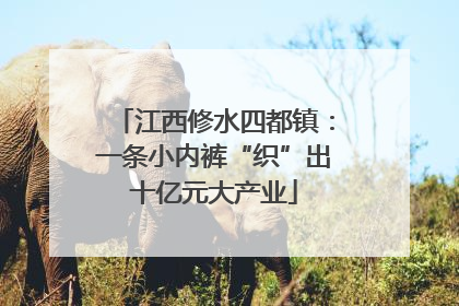 江西修水四都镇：一条小内裤“织”出十亿元大产业