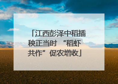 江西彭泽中稻插秧正当时 “稻虾共作”促农增收