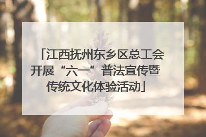 江西抚州东乡区总工会开展“六一”普法宣传暨传统文化体验活动