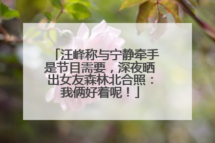汪峰称与宁静牵手是节目需要，深夜晒出女友森林北合照：我俩好着呢！