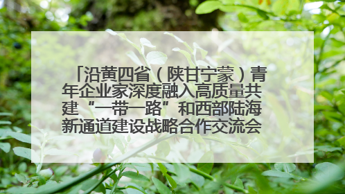 沿黄四省（陕甘宁蒙）青年企业家深度融入高质量共建“一带一路”和西部陆海新通道建设战略合作交流会在甘肃兰州召开