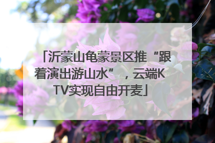 沂蒙山龟蒙景区推“跟着演出游山水”，云端KTV实现自由开麦