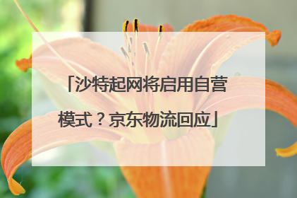 沙特起网将启用自营模式？京东物流回应