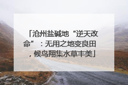沧州盐碱地“逆天改命”：无用之地变良田，候鸟翔集水草丰美