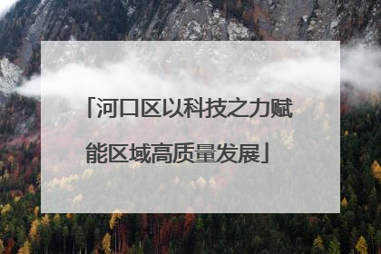 河口区以科技之力赋能区域高质量发展