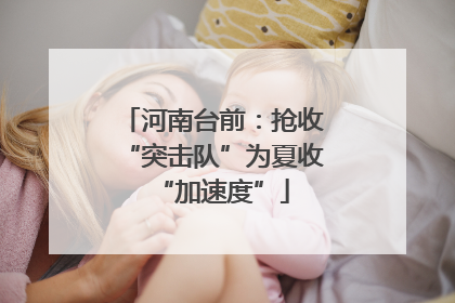 河南台前：抢收“突击队”为夏收“加速度”