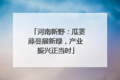 河南新野：瓜蒌藤蔓展新绿，产业振兴正当时
