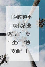 河南镇平：现代农业谱写“三夏”生产“协奏曲”