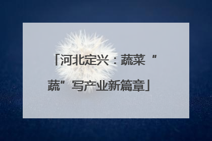 河北定兴：蔬菜“蔬”写产业新篇章