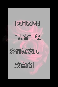 河北小村“麦客”经济铺就农民致富路