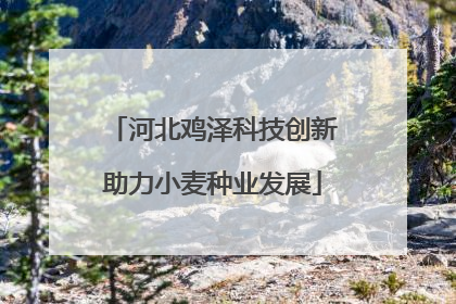河北鸡泽科技创新助力小麦种业发展