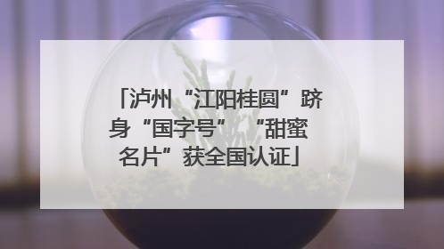 泸州“江阳桂圆”跻身“国字号” “甜蜜名片”获全国认证