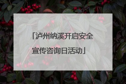 泸州纳溪开启安全宣传咨询日活动