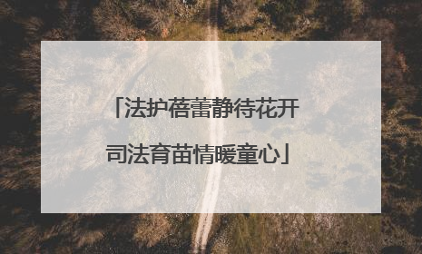 法护蓓蕾静待花开 司法育苗情暖童心