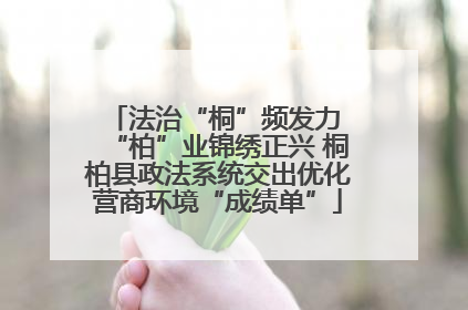 法治“桐”频发力 “柏”业锦绣正兴 桐柏县政法系统交出优化营商环境“成绩单”