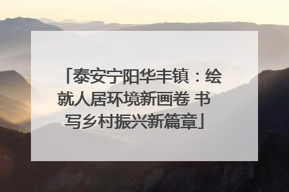 泰安宁阳华丰镇：绘就人居环境新画卷 书写乡村振兴新篇章