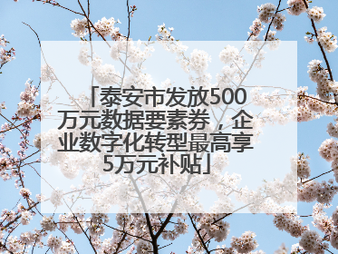 泰安市发放500万元数据要素券，企业数字化转型最高享5万元补贴