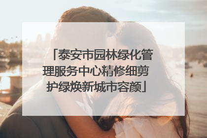 泰安市园林绿化管理服务中心精修细剪护绿焕新城市容颜