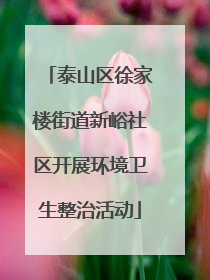 泰山区徐家楼街道新峪社区开展环境卫生整治活动