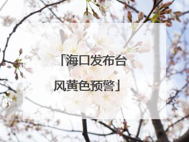 海口发布台风黄色预警