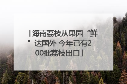 海南荔枝从果园“鲜”达国外 今年已有200批荔枝出口