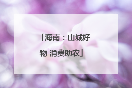 海南：山城好物 消费助农