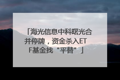 海光信息中科曙光合并停牌，资金杀入ETF基金找“平替”