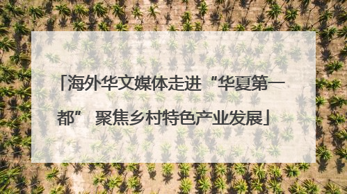 海外华文媒体走进“华夏第一都” 聚焦乡村特色产业发展